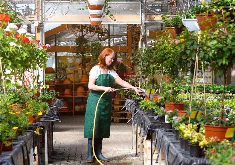 Woman watering plants